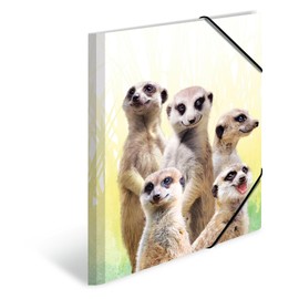 HERMA Collector's Folders A4 Meerkat Set, 3 Pieces, Children's Plastic Corner Folder with Animal Motif, Elastic Band, Inner Flaps and Inner Print for Boys and Girls