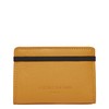 BASICS Cardholder