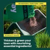 Sunday Sun & Shade 1,500 Sq. Ft. Seed + Feed,