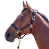 Shires Topaz Nylon Pony/Horse Headcollar - Purple Small Pony