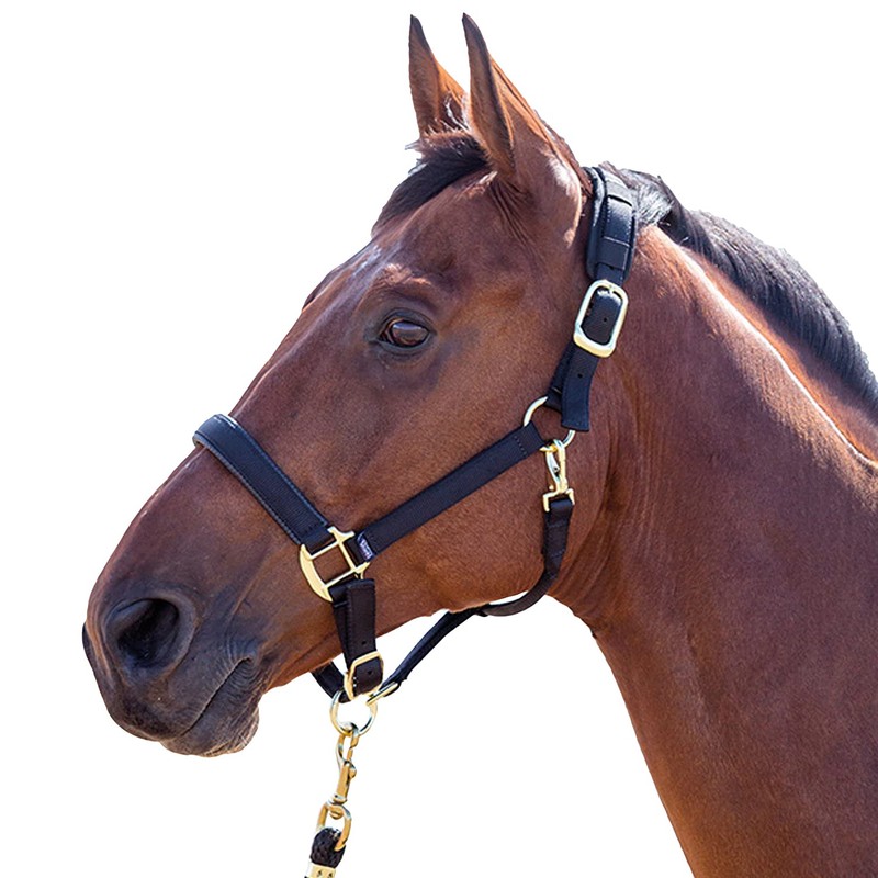Shires Topaz Nylon Pony/Horse Headcollar - Purple Small Pony