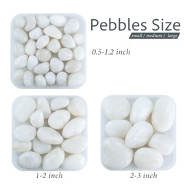 GreenVibe Large Pebbles for Indoor Plants, 10lbs White Pebbles 2-3 Inch Decorative River Rocks for Planters, High Polished Stones for Vase Filler Fish Tank Landscaping Garden
