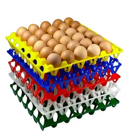 Plastic Egg Tray Hold Multiple Eggs for Home Chicken Farmers, Great for Storing, Sorting, and Shipping Eggs, Durable and Reusable (10)