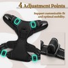 rabbitgoo Dog Harness No Pull with 2 Leash Clips, Adjustable