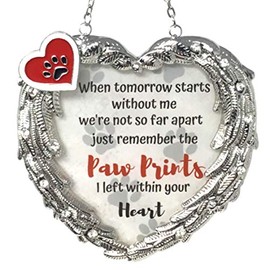 BANBERRY DESIGNS Pet Memorial Suncatcher - When Tomorrow Starts Without Me Paw Prints on My Heart Sentiment - Silver Metal Angel Wings Sun Catcher Design