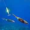Fishing Squid Jigs, Glitter Octopus Lure Light with Hook Luminous