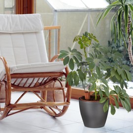 Relaxdays Clay Tips Irrigation Set of 4 Ceramic, Watering Aid for 1.5 L Bottles, Watering Cones HBT: 14 x 4.5 x 4 cm, Terracotta