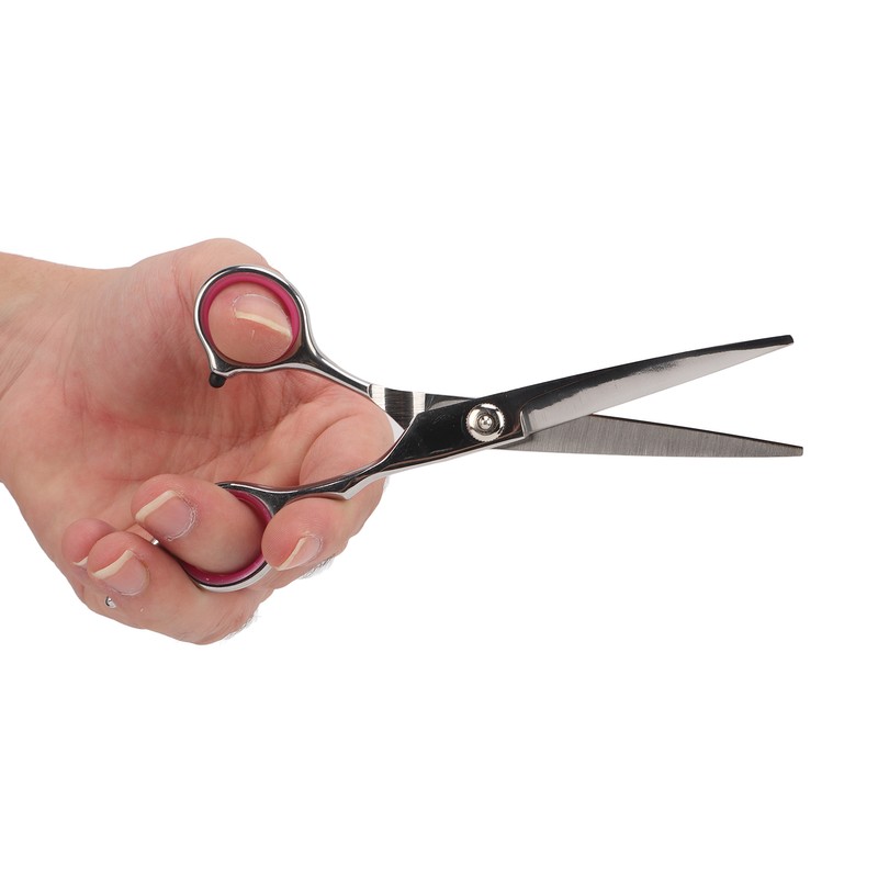 Pet Rabbit Grooming Scissors Stainless Steel Round Tip 4 in