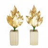 A&K Premium Sakaki, Preserved [S Size / 1 Pair /