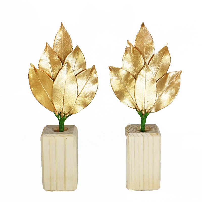 A&K Premium Sakaki, Preserved [S Size / 1 Pair /