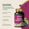 EXZON c/90 TABS. Masticables 490 MG
