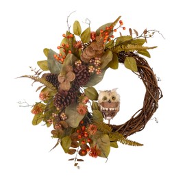 Fall Owl Wreath for Front Door 24 Inch, Autumn Natural Pine Cones Faux Eucalyptus Magnolia Leaf Berry Wreath, Fall Decor for Home Farmhouse Door Wall Window Porch Indoor/Outdoor