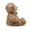 Plushland Classic Teddy Bear Stuffed Animal Plush Toys, Small Brown