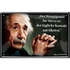 Blechschilder Decorative Metal Sign With Albert Einstein Quote, 20 x