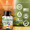 Glucosamine Chondroitin Turmeric Msm Boswellia - Triple Strength Joint Support