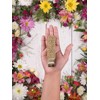 Sagrada Madre Sahumitos Smudge Stick / 사그라다 마드레 사후미토스 스머지스틱