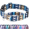 Fidohug Reflective Martingale Collar with Buckle Shark Starfish Ethnic Stripe