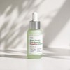 Ingredient Editor [Deep Pore Care] Ingredient Editor Green Tomato Pore