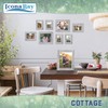 Icona Bay 4x6 (10x15 cm) Picture Frames (Farmhouse White, 6