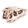 Resin Dinosaur Skull Model Simulated Animal Skeleton Home Office Decor