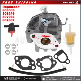 Briggs & Stratton For 294442 294446 294447 295342 290442 Carburetor w/Gasket New