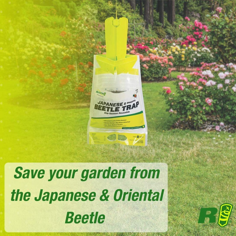 RESCUE! Japanese Beetle Trap – Reusable Bag - 3 Traps