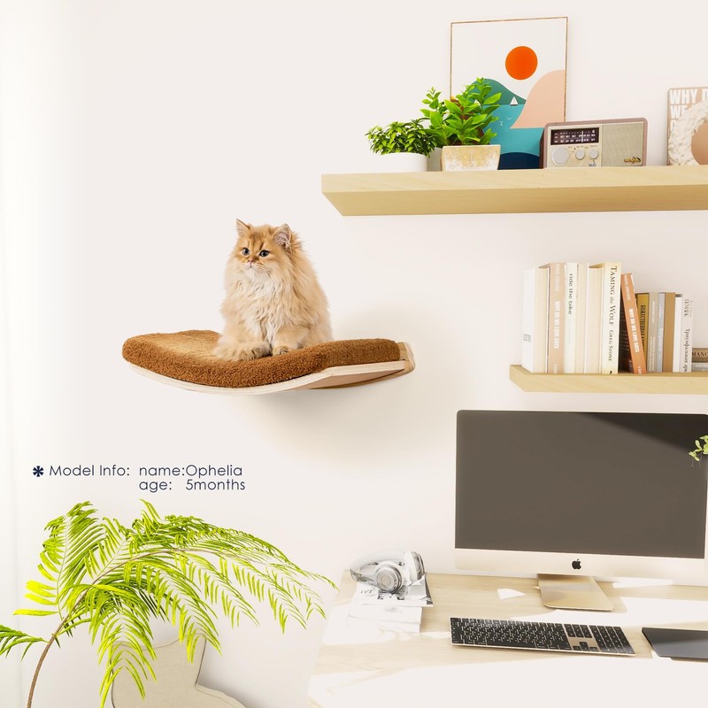 COOLEX Curved Cat Wall Shelves and Perches, Floating Cat Wall