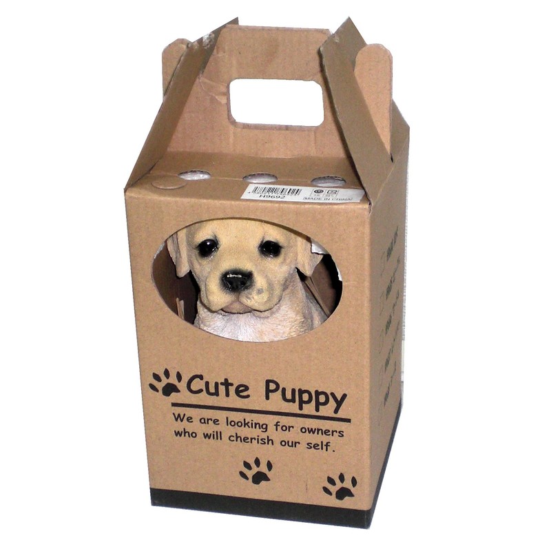 H2O dogguhausugihuto Labrador h9692