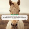 Sensipharm Urologist Aid Horse