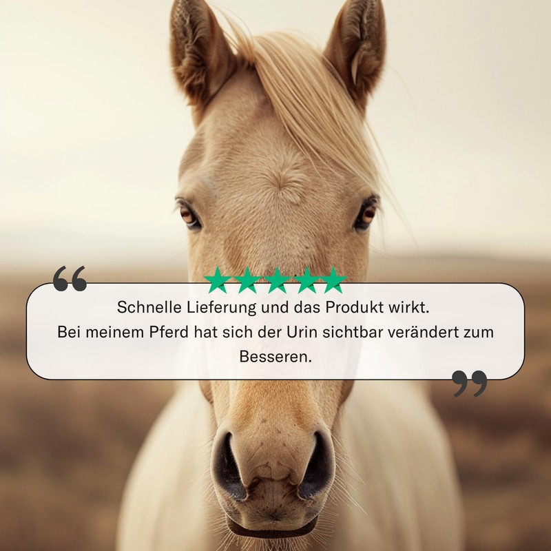 Sensipharm Urologist Aid Horse