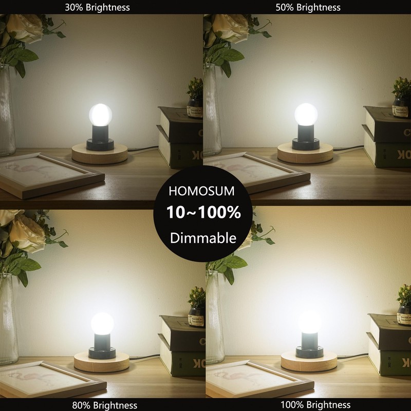 HOMOSUM Dimmable G16.5 Frosted Edison Bulb,6W E26 LED Bulb Equivalent