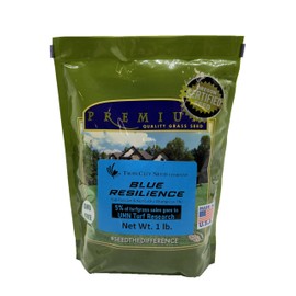 Twin City Seed Co. Blue Resilience, Tall Fescue & Kentucky Bluegrass Mixture, 1 lb Bag