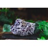 Windalf Sheela Small Jewellery Pendant Height: 1.8 cm Celtic Lucky