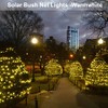 Solar Net Mesh String Lights Outdoor Waterproof 9.8ft x 6.6ft
