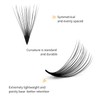 Premade Fans Eyelash Extensions 1000 20D Promades Eyelash Volume Lash