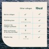 Rheal Marine Collagen Powder 303g