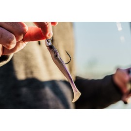 6th Sense Fishing Finesse Jig Heads (Perch Gill, 5/16oz. 1/0 (3/pk))