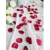 Capesaro Burgundy Rose Petals,Red Flower Silk Petals,Scatter Petals for Wedding