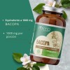 Bacopa, 120 Cápsulas | Adaptógeno 100% Natural | Cápsulas Veganas
