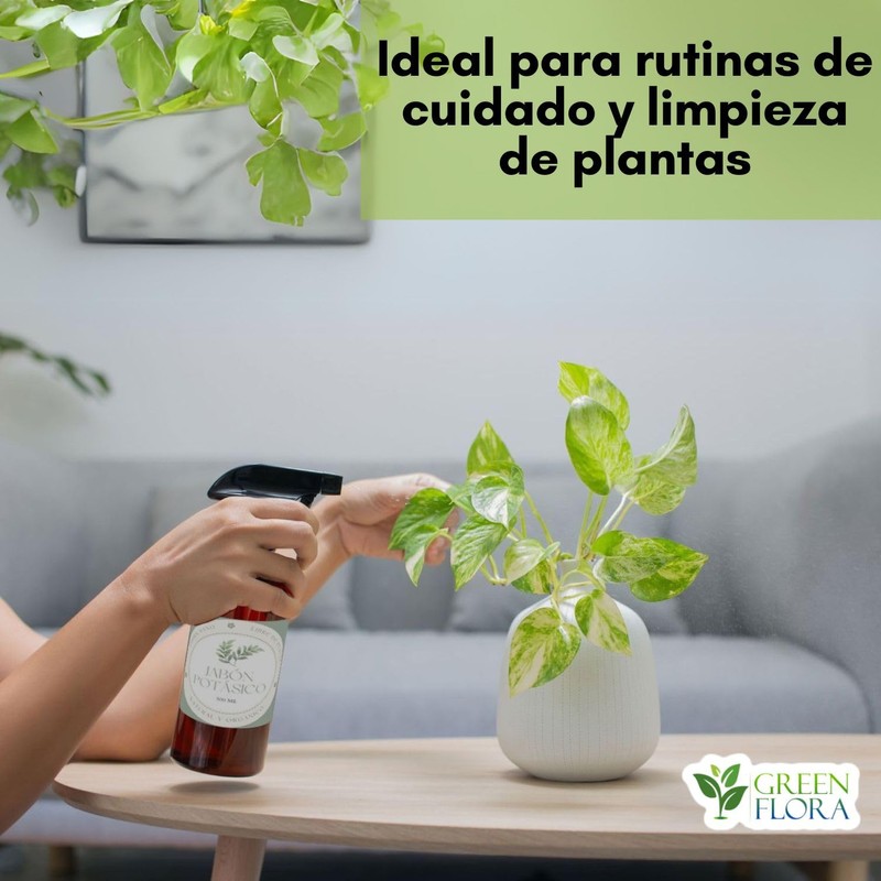 Jabón Potásico con Extracto de Ajo para Plantas