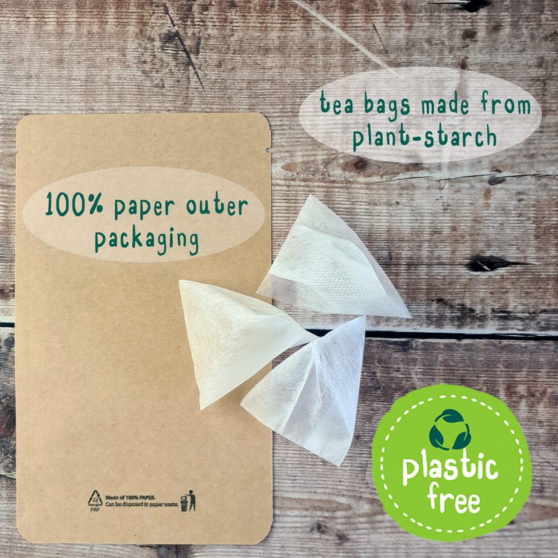 Organic Ginkgo Biloba Tea Bags - 15 Pyramid Tea Bag