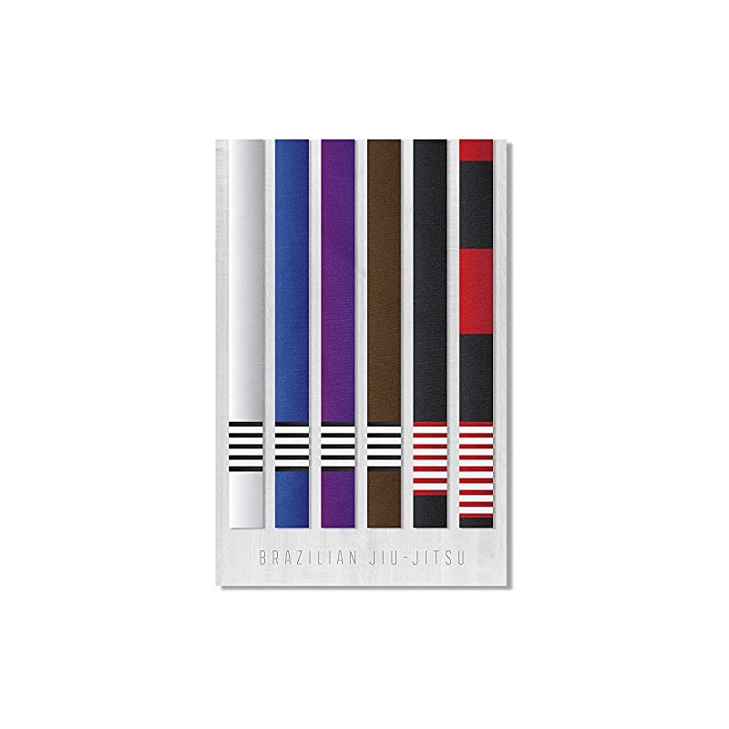 Damdekoli BJJ Belt Jiu Jitsu Poster (24 x 36 Inches