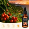 WEUD 4PCS Aceite de Batana Original, Batana Oil Hecho En