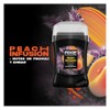 Axe Desodorante premium en barra Peach Infusion 45 g