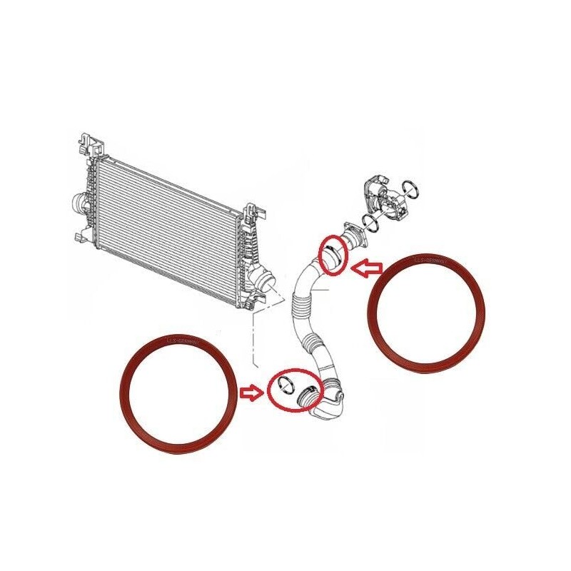 LLS-GERMANY 2x Moulded Seal Compatible with Opel Astra J