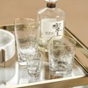 Zodax Aperitivo Triangular Stemware or Glassware - Clear with Gold