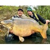 Haldorado 4S Method Pellet Competition Carp Fishing Wafter, 5 mm,