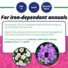 Jack's Classic 20-6-22 Petunia Feed Water-Soluble Fertilizer with Micronutrients to