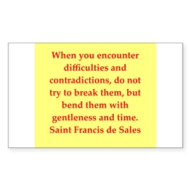 CafePress Fd199 Rectangle Bumper Sticker (10-Pack), Car Decal