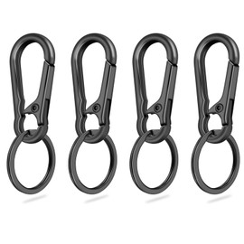 4Pack Small Keychain Rings, Metal Key Carabiner Clip, Mini EDC Key Ring Chain Holder Organizer for Purse Charm Hook, Car Keychain, Paracord Keychain Lanyard, Men and Women Key Fob (Gun Black)